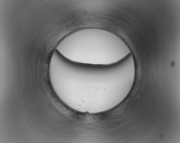 X0000116290305200912211846