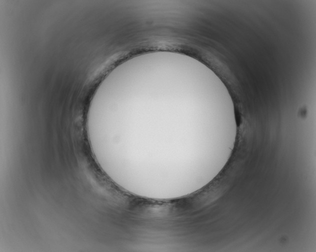 X0000116290306200912211846