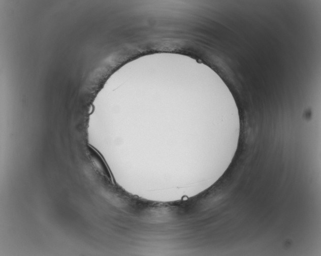 X0000116290307200912211846