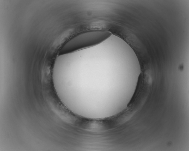 X0000116290308200912211846