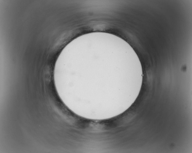 X0000116290311200912211846