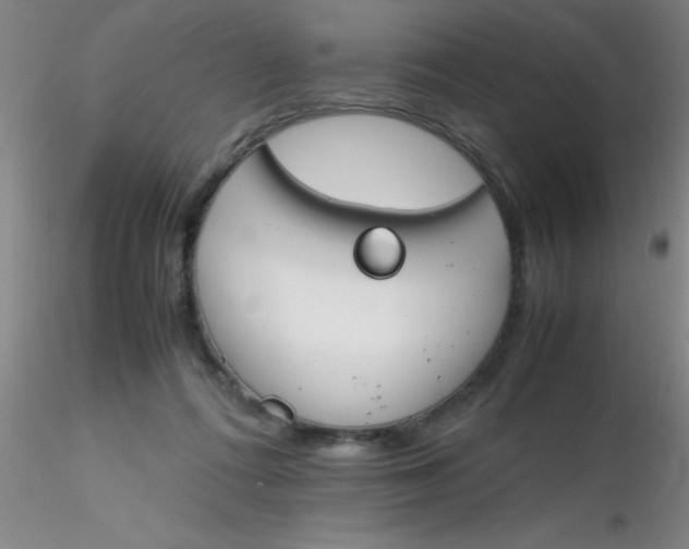 X0000116290312200912211846