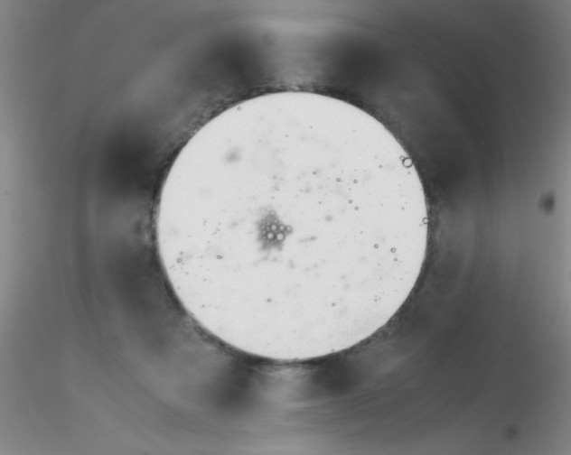 X0000116290313200912211846