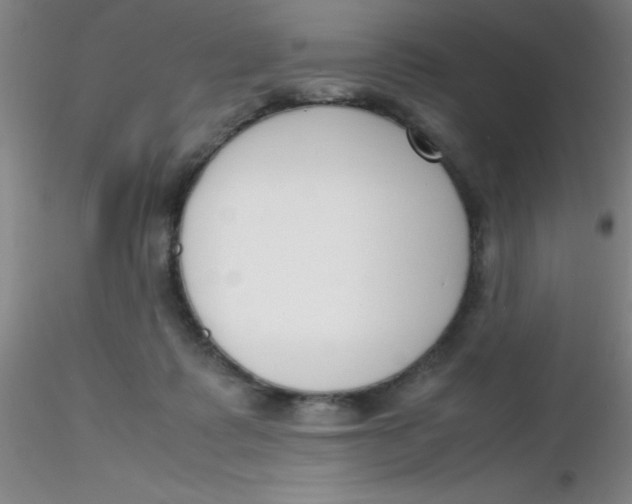 X0000116290315200912211846