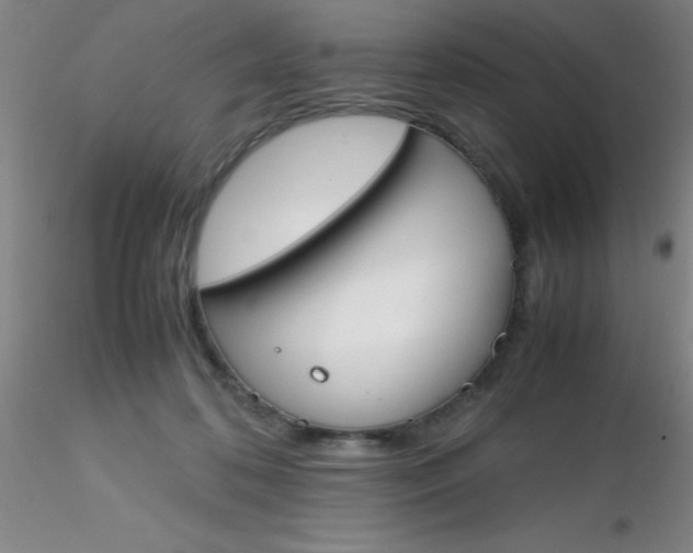 X0000116290316200912211846