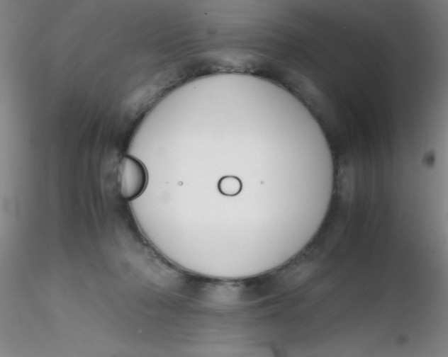 X0000116290318200912211846