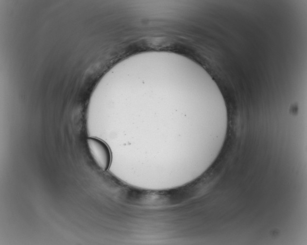 X0000116290319200912211846