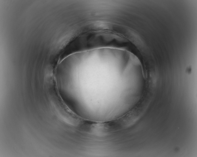 X0000116290320200912211846