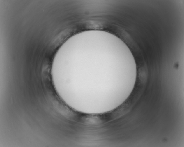 X0000116290322200912211846