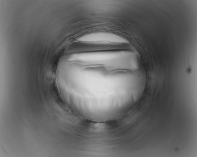 X0000116290324200912211846