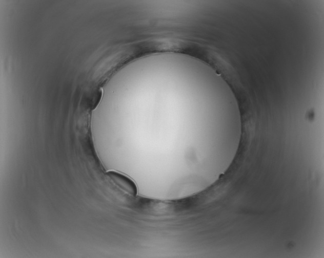 X0000116290325200912211846