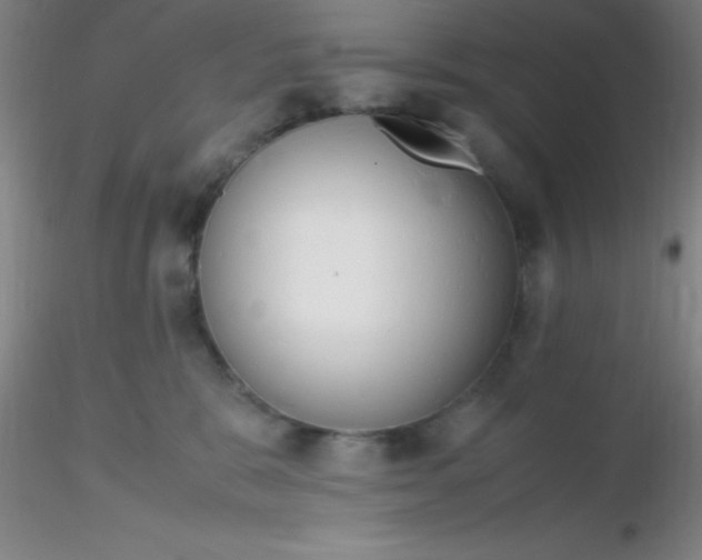 X0000116290327200912211846