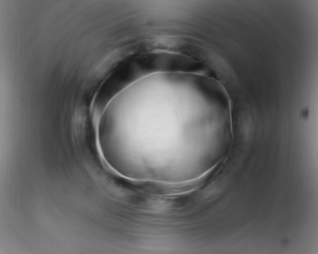 X0000116290328200912211846