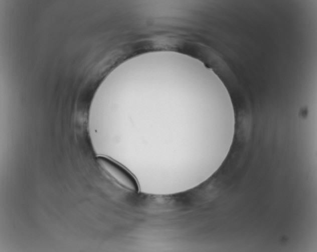 X0000116290329200912211846