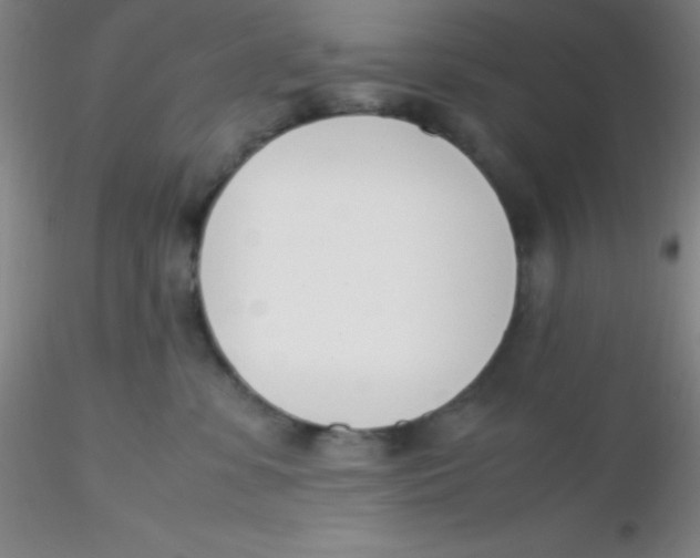 X0000116290331200912211846