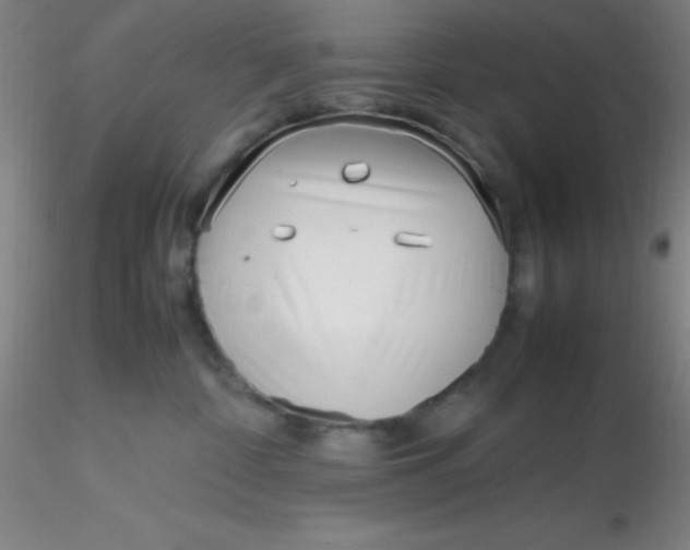 X0000116290332200912211846