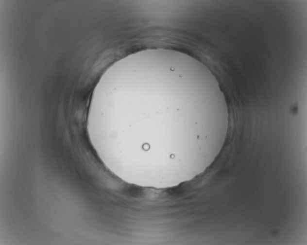 X0000116290333200912211846