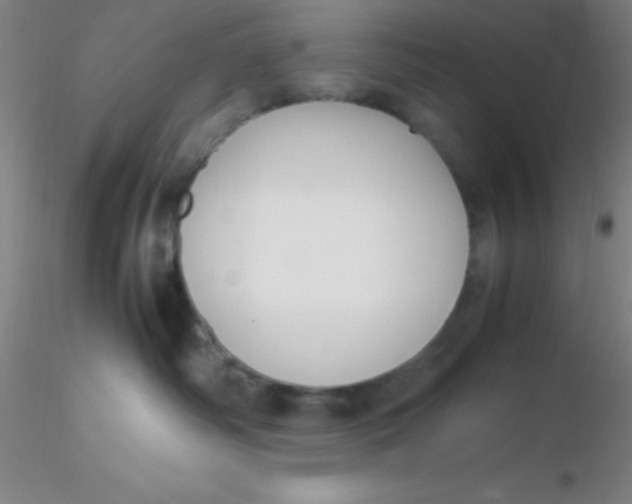 X0000116290334200912211846