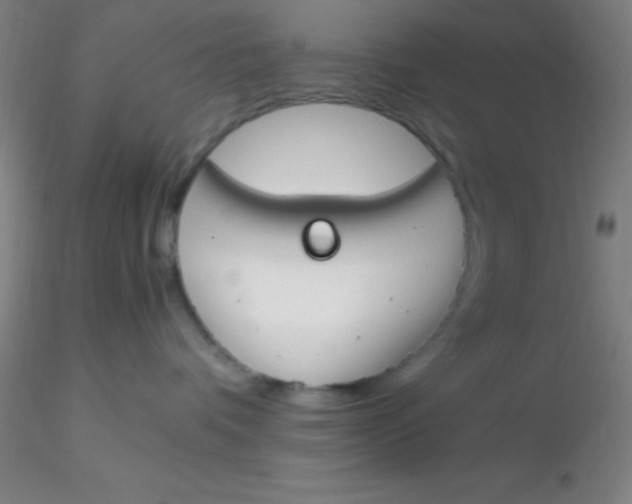 X0000116290336200912211846