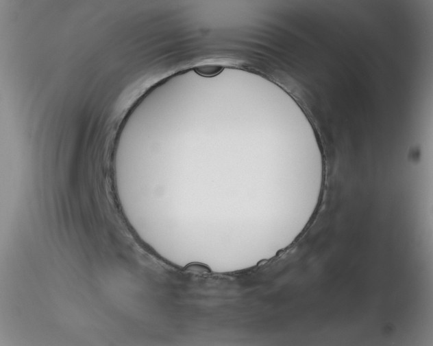 X0000116290337200912211845