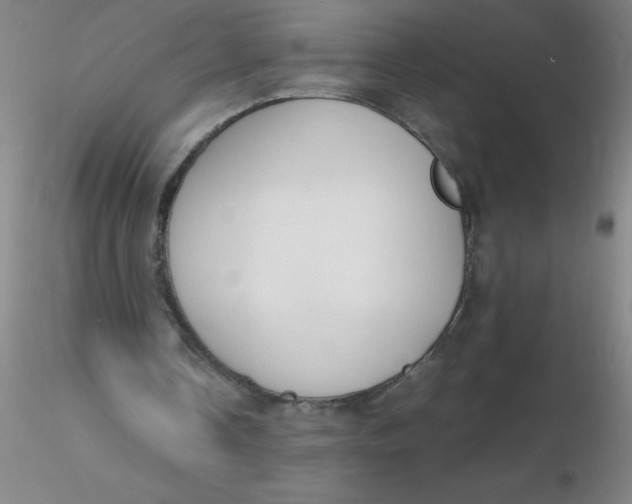 X0000116290338200912211845