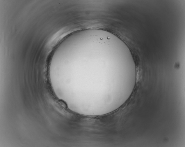 X0000116290339200912211845