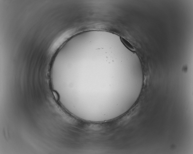 X0000116290341200912211845