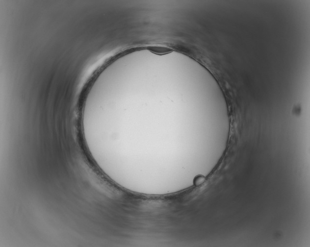 X0000116290342200912211845