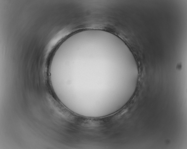 X0000116290343200912211845