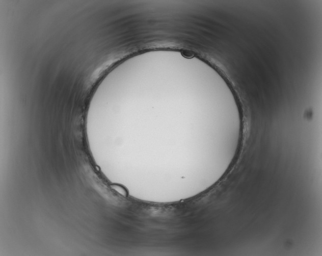 X0000116290345200912211845