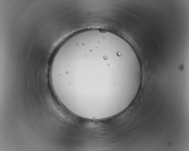 X0000116290346200912211845