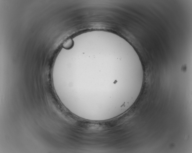 X0000116290347200912211845