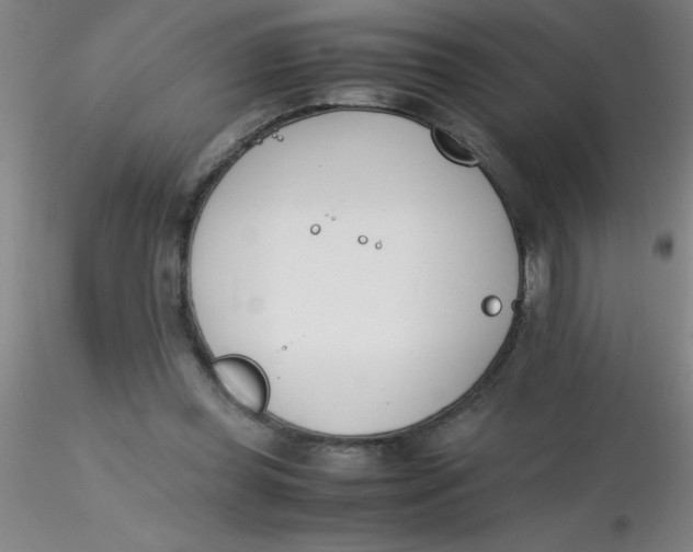 X0000116290349200912211845