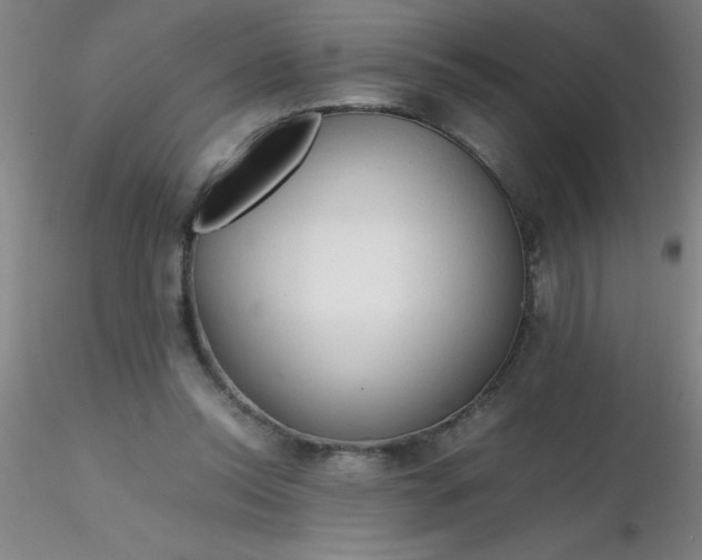 X0000116290350200912211845