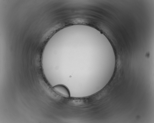 X0000116290353200912211845