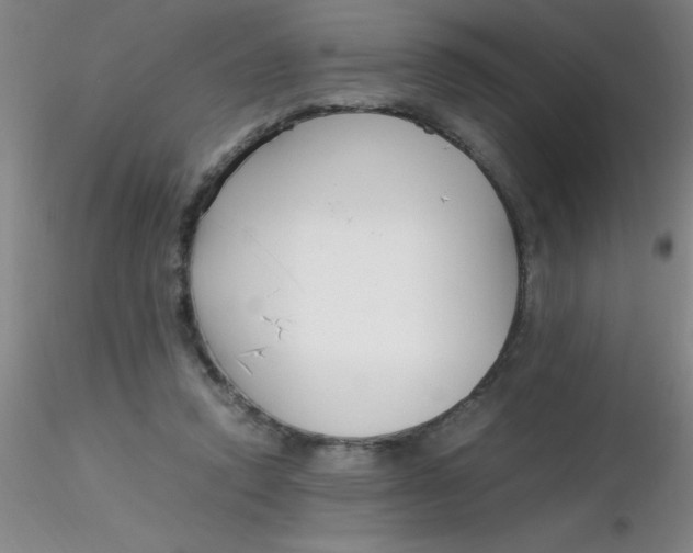 X0000116290354200912211845