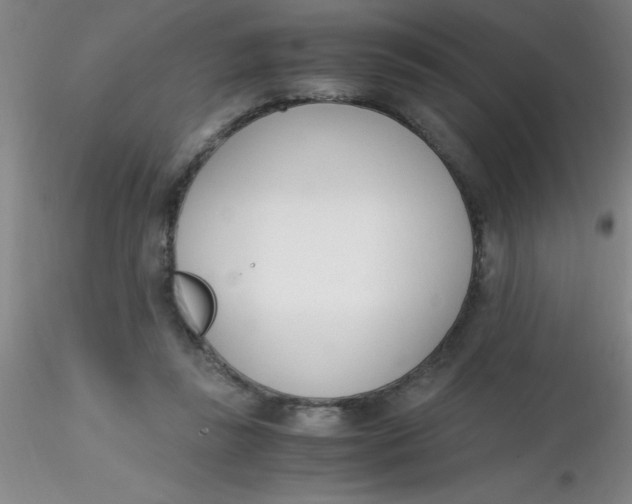 X0000116290355200912211845