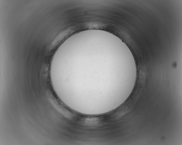 X0000116290357200912211845