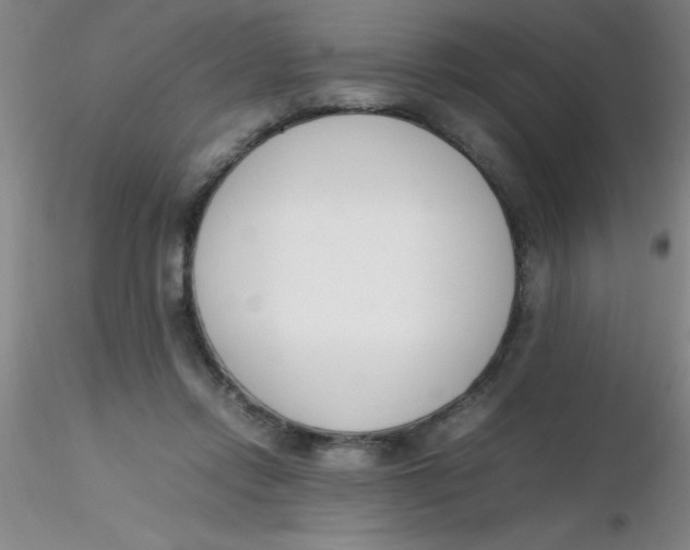 X0000116290358200912211845