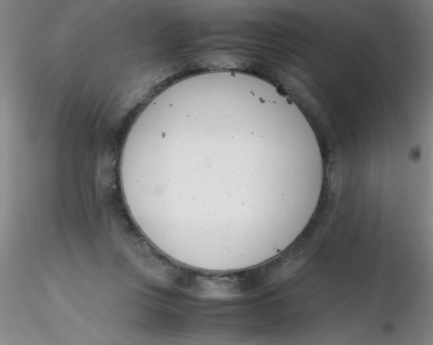 X0000116290359200912211845