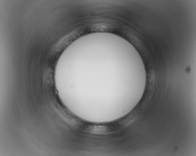 X0000116290361200912211845