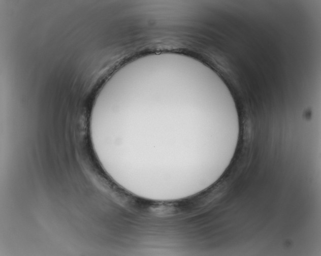 X0000116290362200912211845