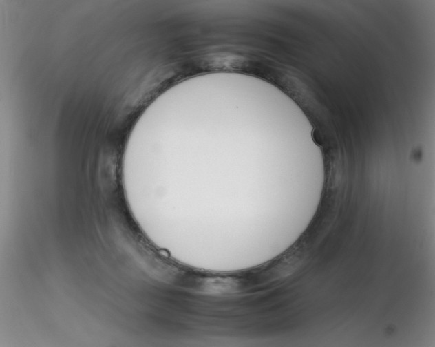 X0000116290363200912211845