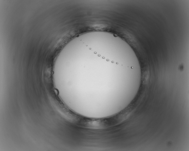 X0000116290365200912211845