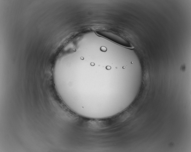 X0000116290367200912211845