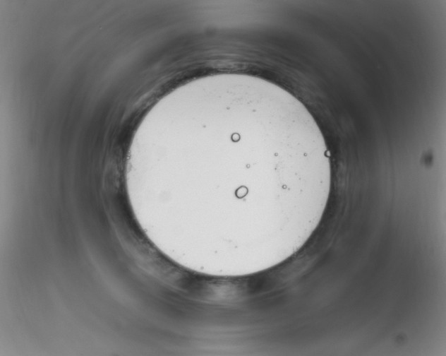 X0000116290370200912211845