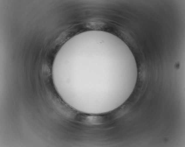 X0000116290371200912211845