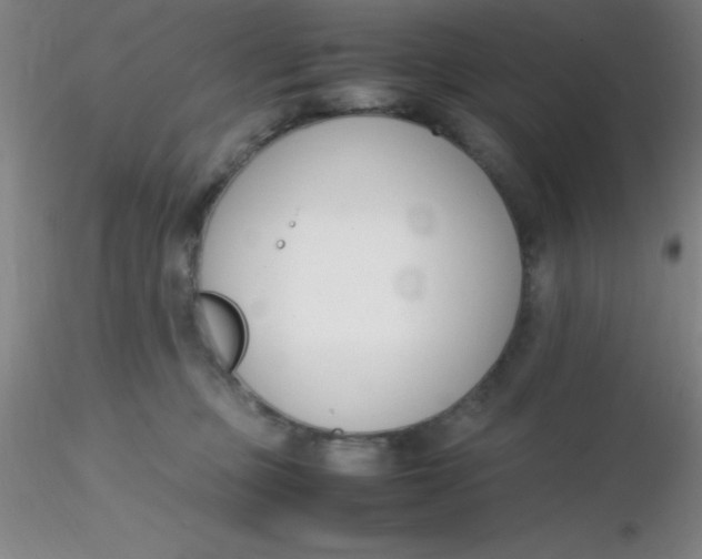 X0000116290373200912211845