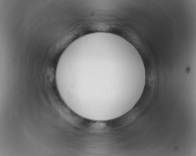 X0000116290374200912211845