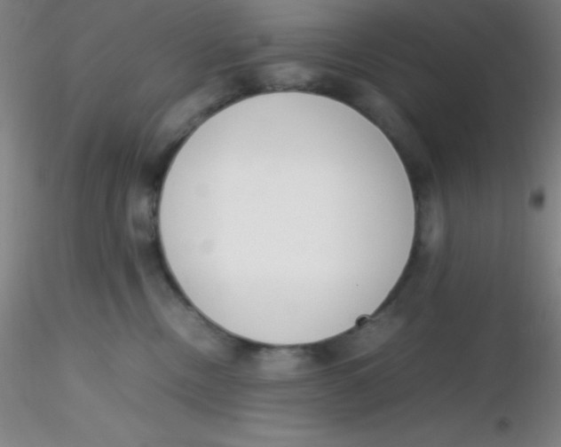 X0000116290378200912211845